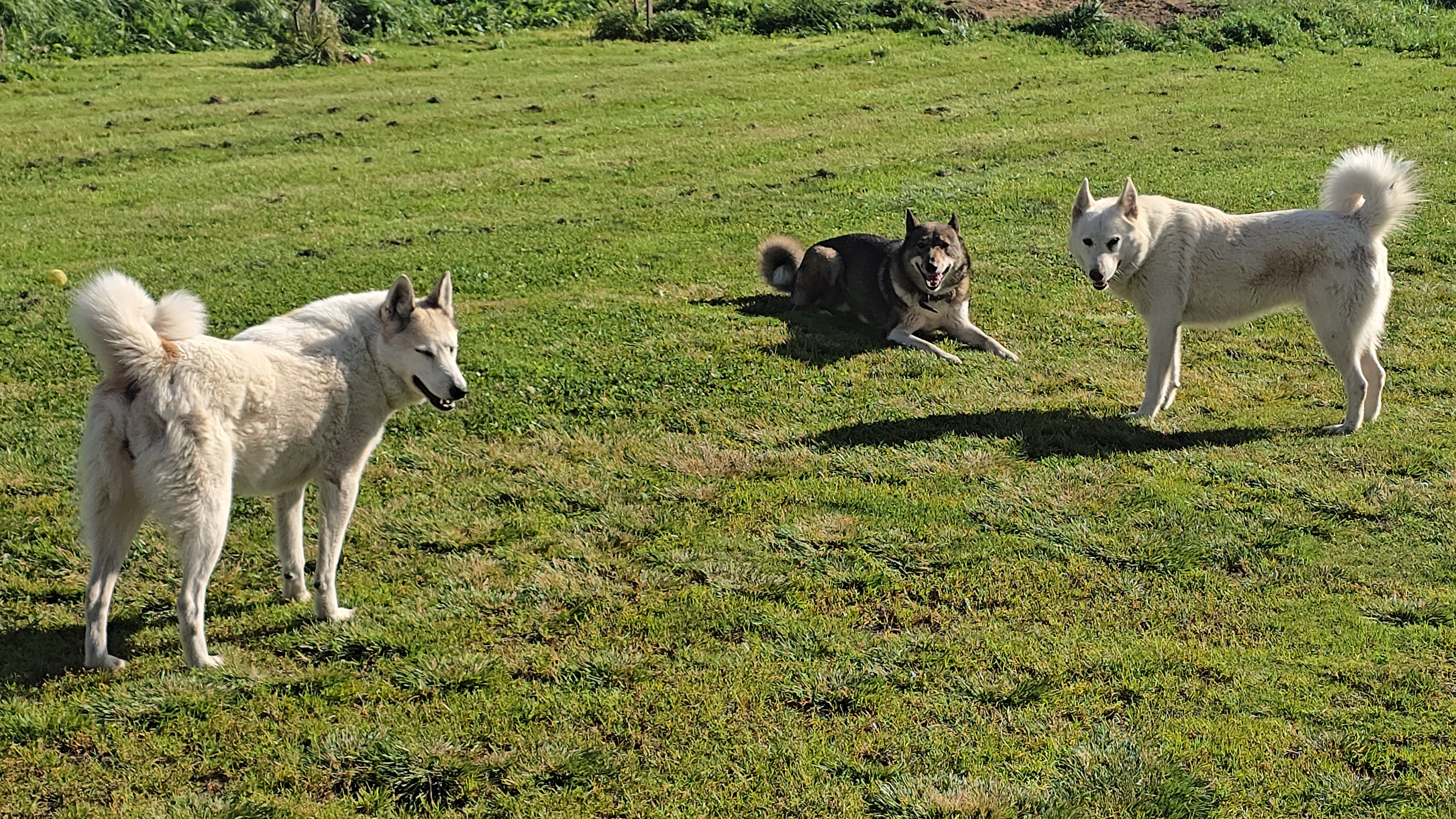 Чего-то не хватает