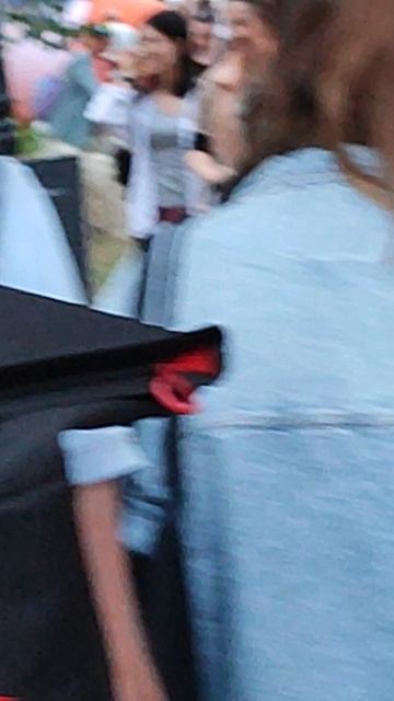 Самые умные псы.