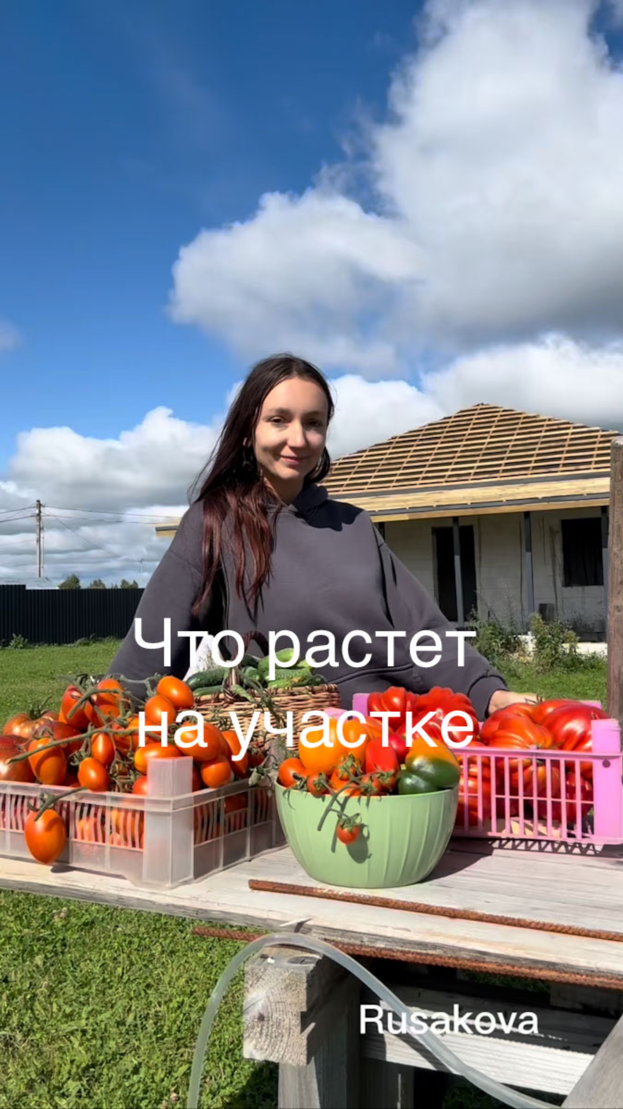 На участке растет только трава?!