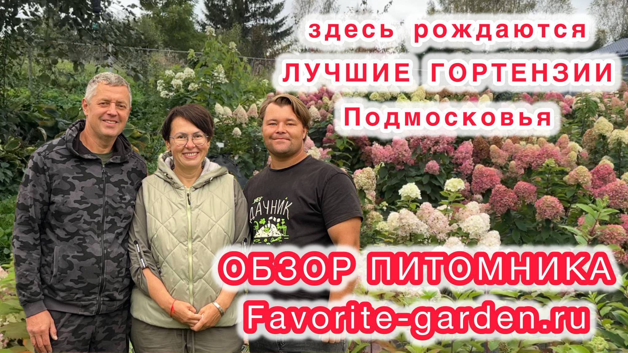 Гортензии и обзор частного питомника Favorite-garden.ru