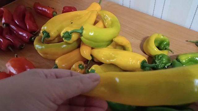 Сладкий перец, обзор урожайных сортов для зоны рискованного земледелия