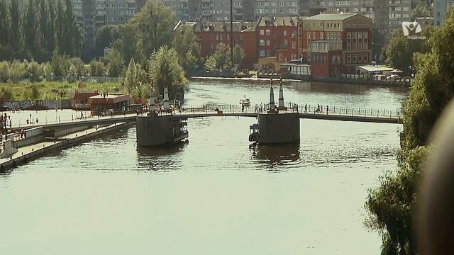 Между войной и миром #8 | Вестник свободы и благодати