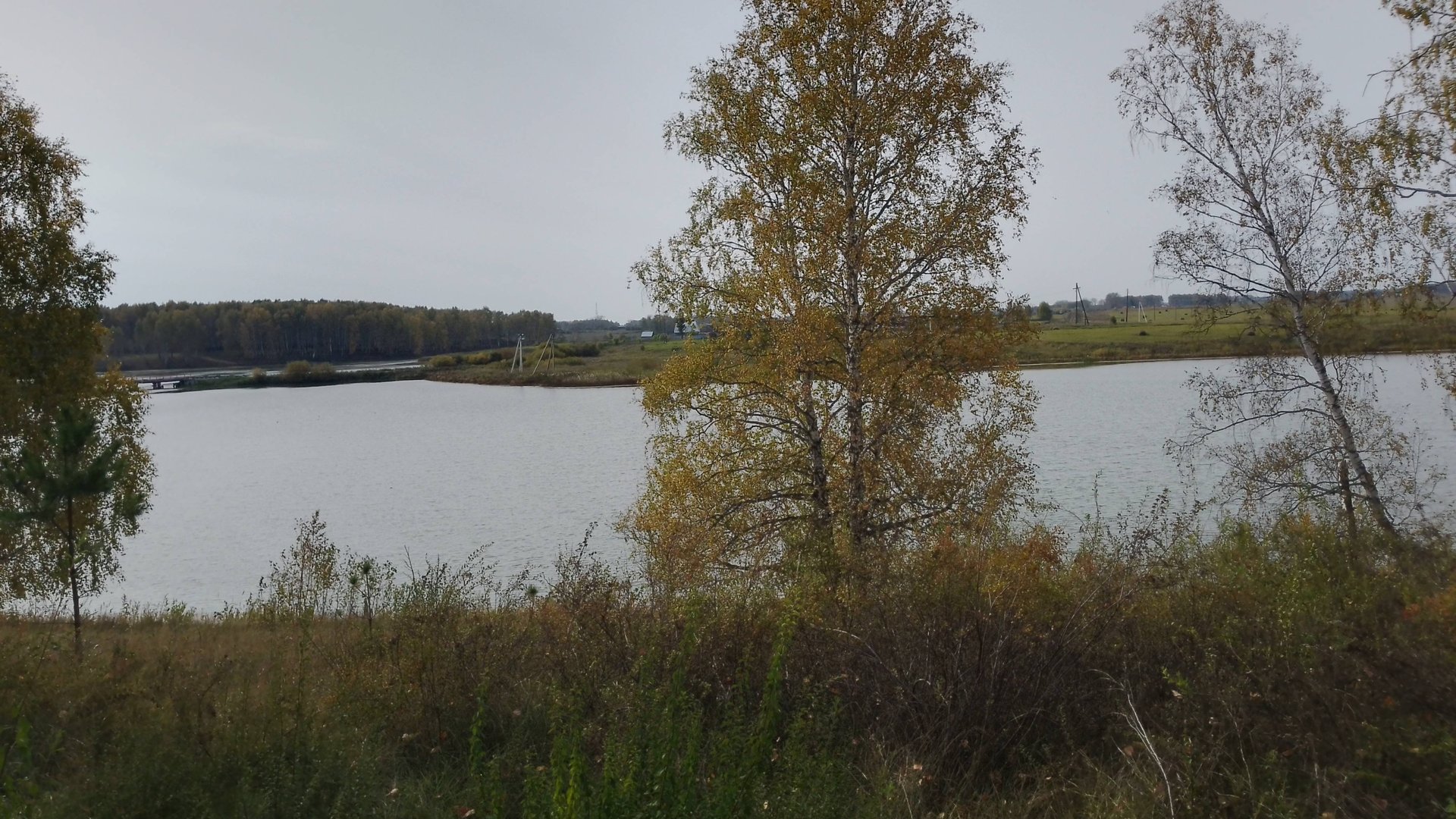 ШАЛАШ В ЛЕСУ