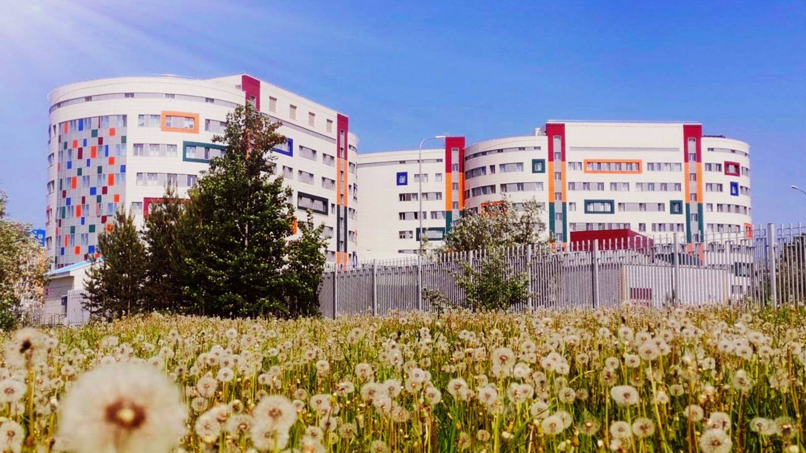 30 лет здесь рождается счастье