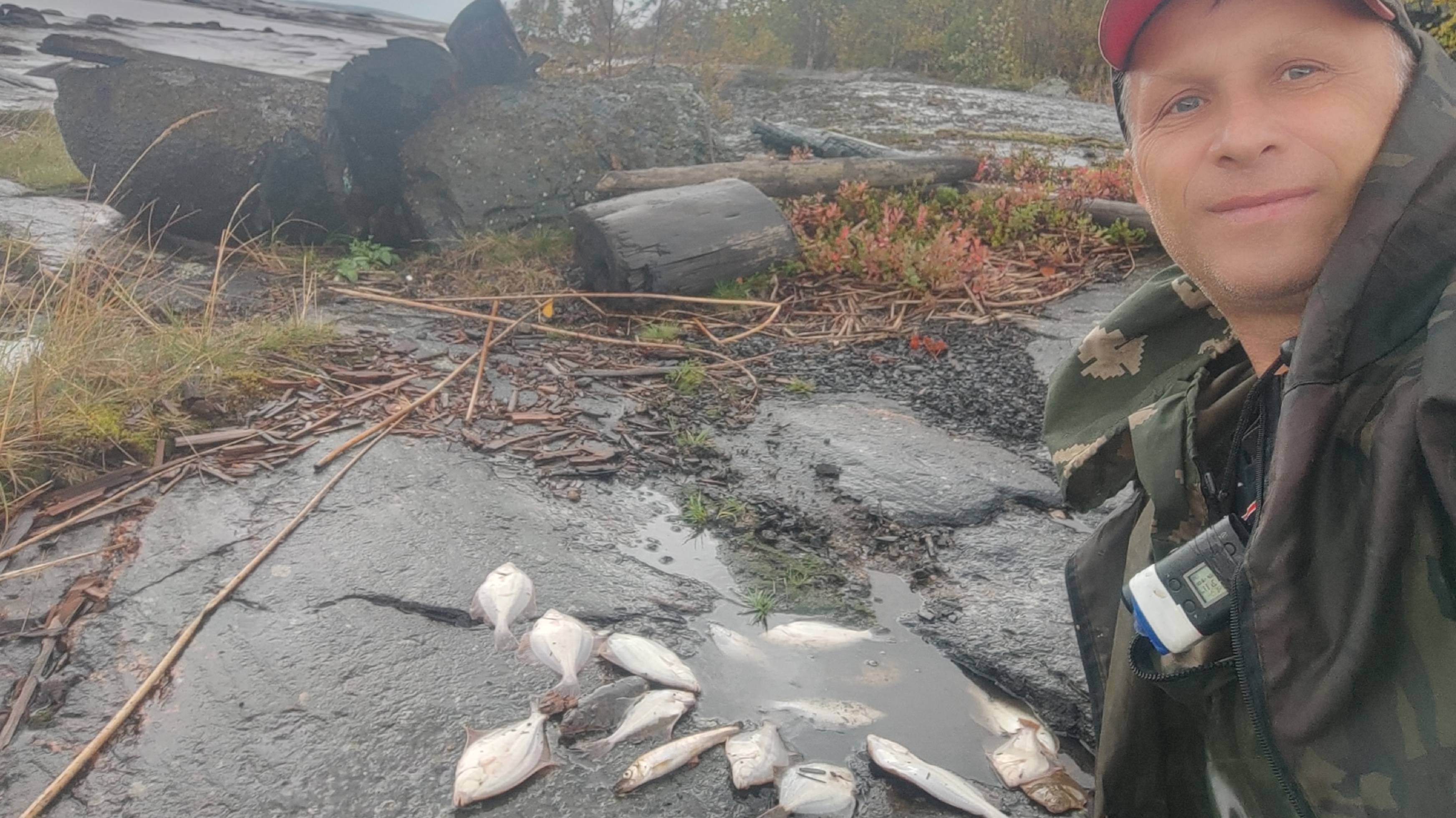 Поставил пешком сети на Белом море и наловил много камбалы!