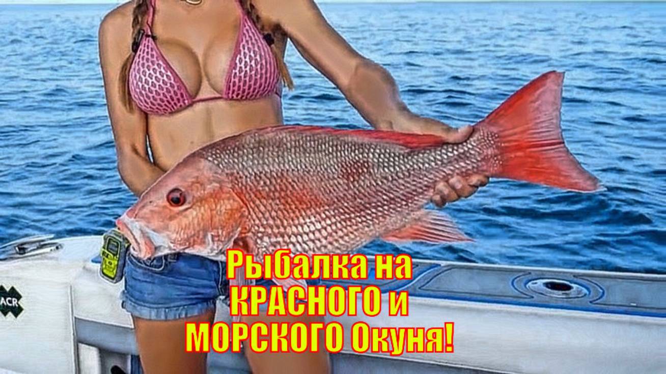 Рыбалка на КРАСНОГО Окуня и МОРСКОГО Окуня!