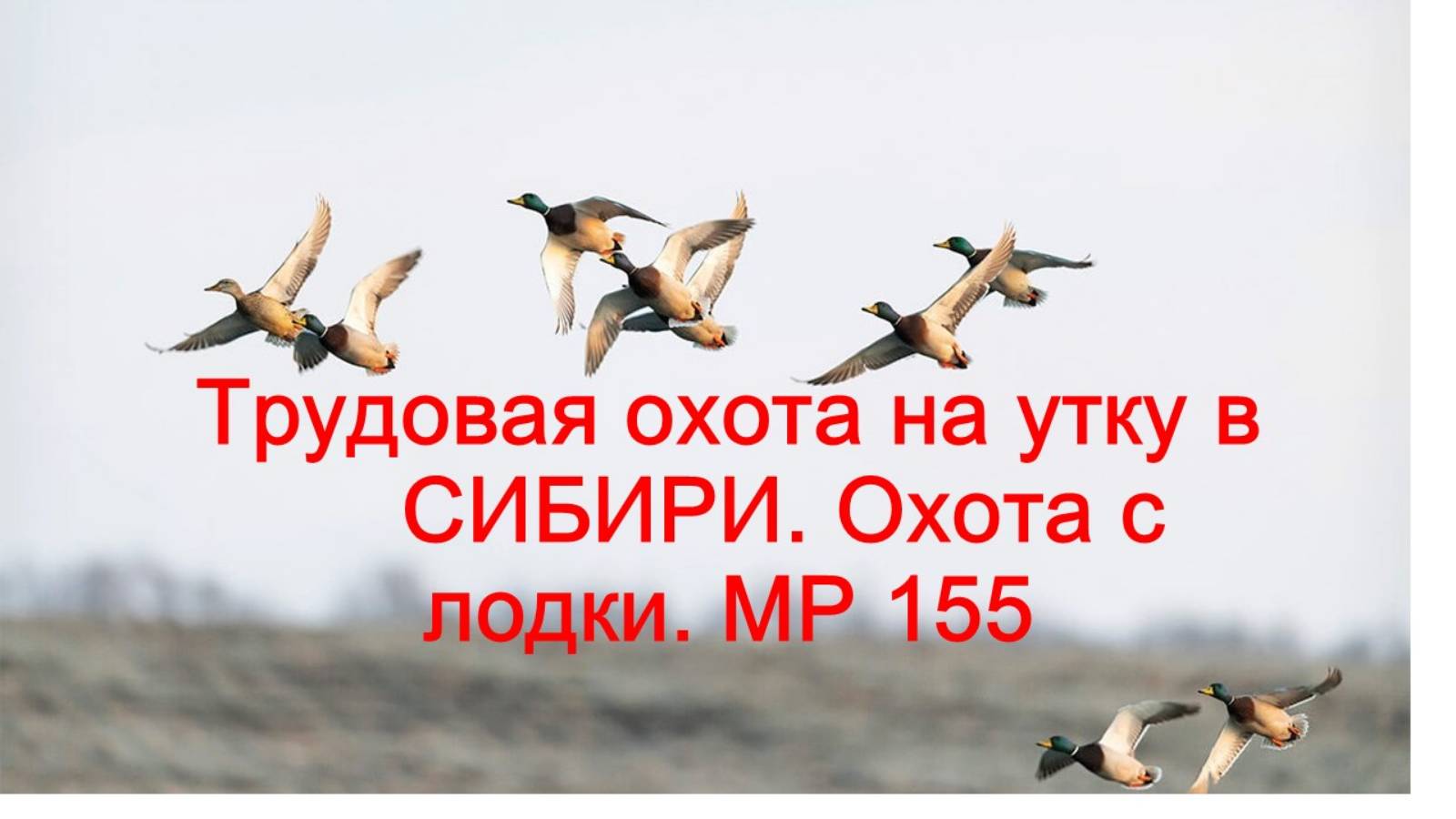 Трудовая охота на утку в Сибири.  Охота с лодки. МР155