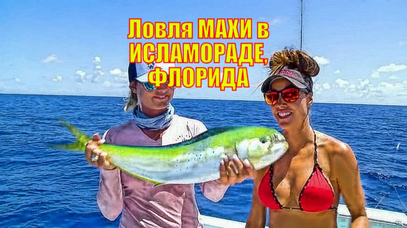 Ловля МАХИ в ИСЛАМОРАДЕ, ФЛОРИДА