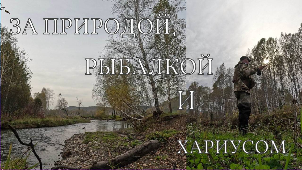 Осенняя рыбалка на малой речке.Хариузок и осенние красоты.