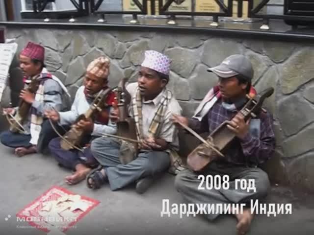Дарджилинг Музыканты