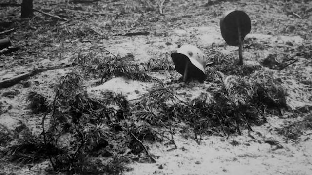 литературно концертная программа "Родина Мать зовет!"  часть 1