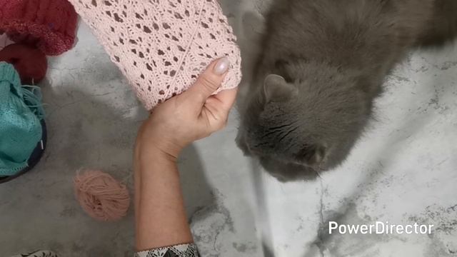 СП "Добиваю недовязы - 4 /2025" с Мариной Стоговой Отчёт 31