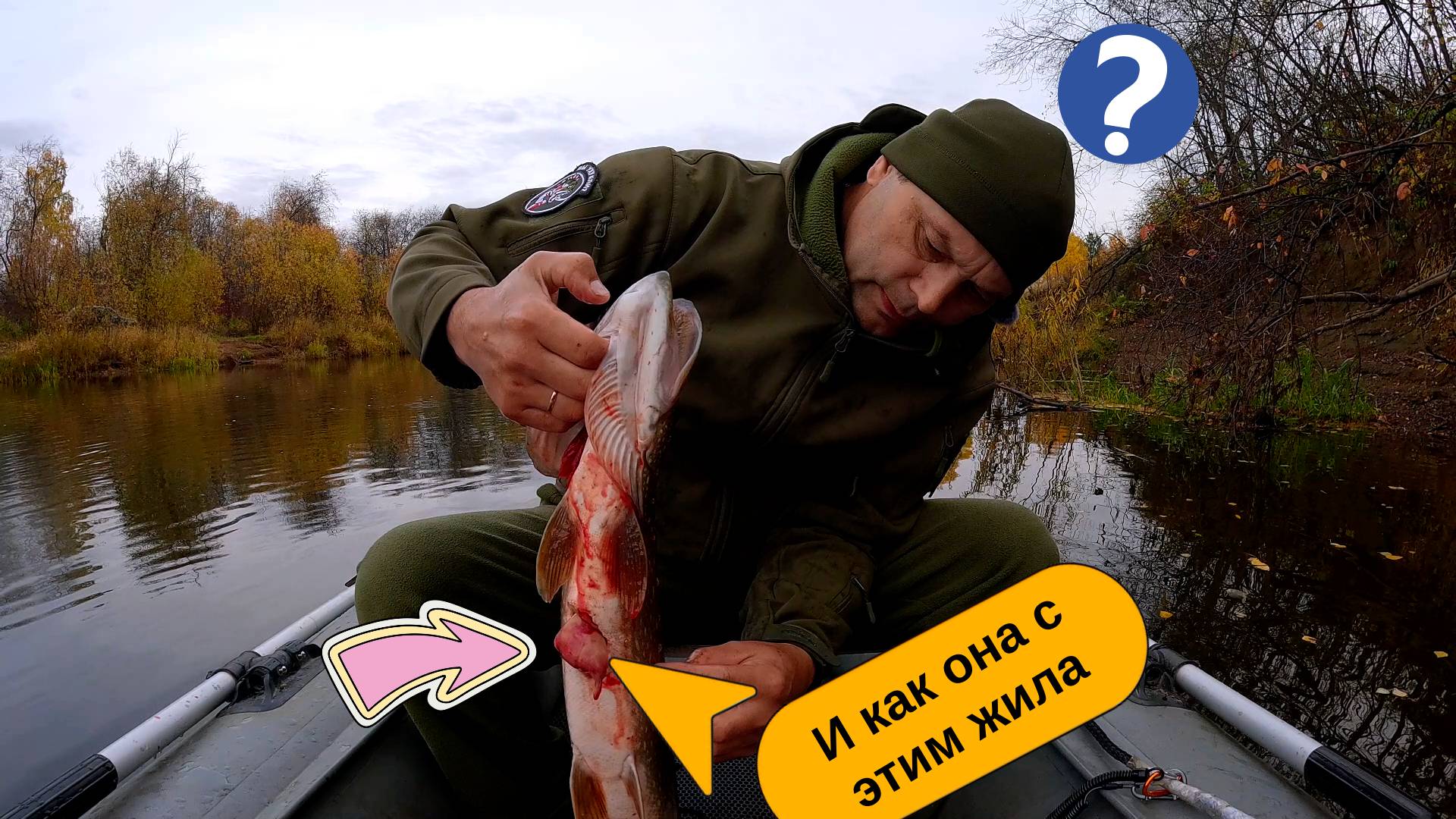 Щука с Аномалией, как она с этим жила?! 🤔