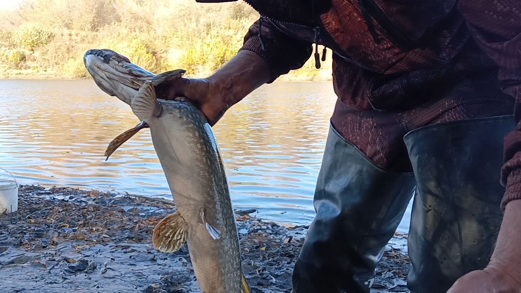 Проверка закидушек.27.09.25г.
