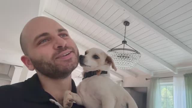 Познакомьтесь с нашими Новыми Перепелками ПЕРЕВОД Арнак