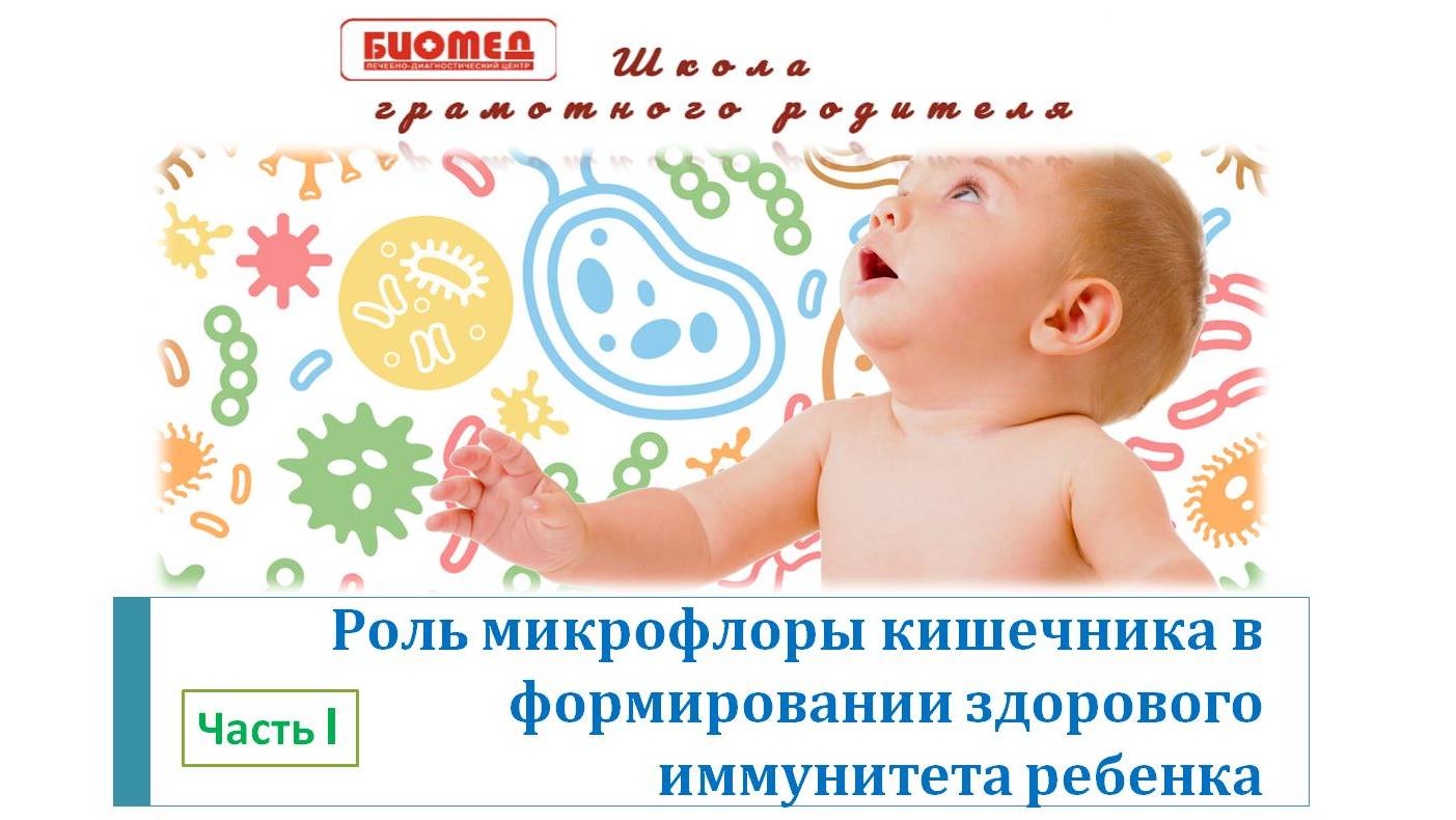 Роль микрофлоры кишечника 1ч