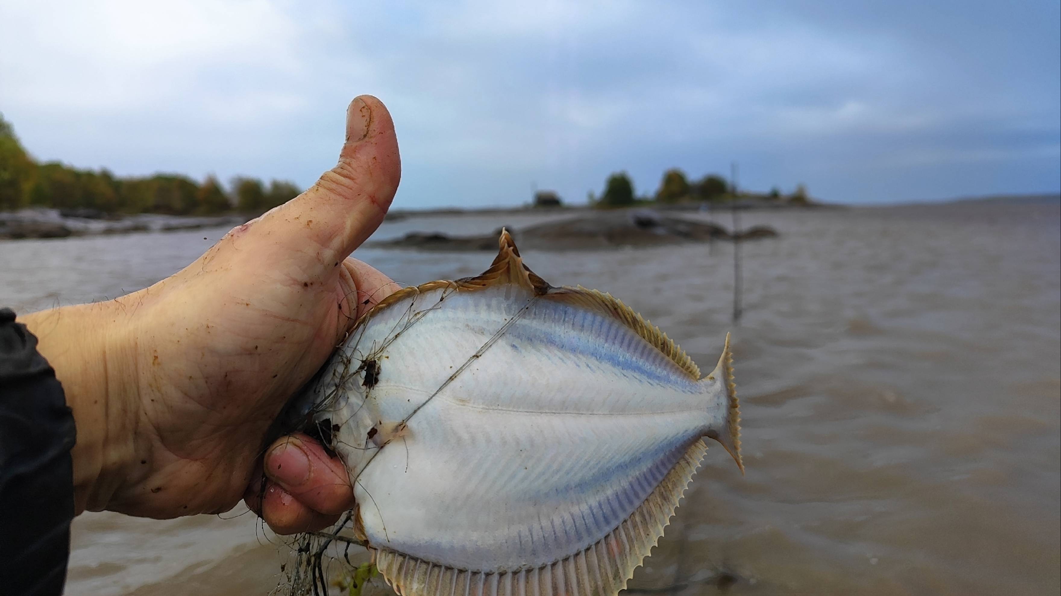 Идущий по воде!Рыбалка в Арктическом море.