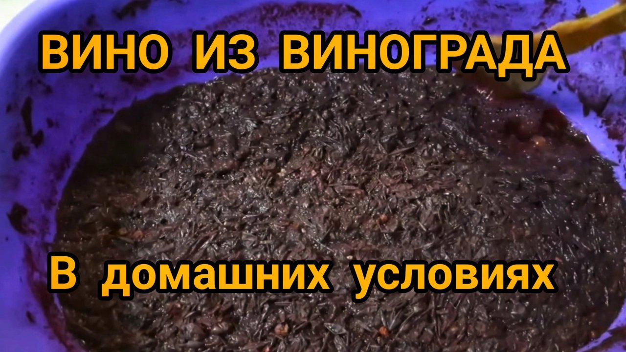 ВИНО 🍷 ИЗ 🍇 ВИНОГРАДА 🍇 В ДОМАШНИХ УСЛОВИЯХ. 2 ЧАСТЬ.