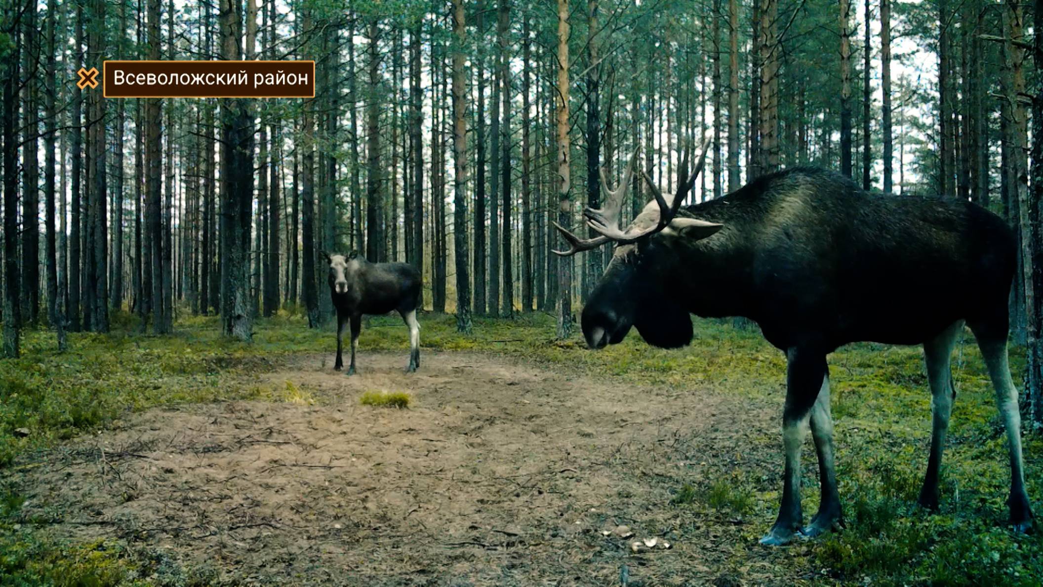 Дикие выходные с Павлом Глазковым. 27 сентября