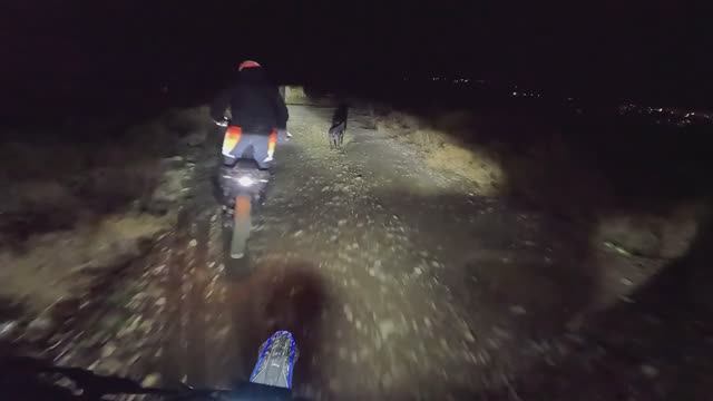 Talaria mx5,TL5500,Sting pro, Электро байк, Эндуро, Напала стая собак!!!