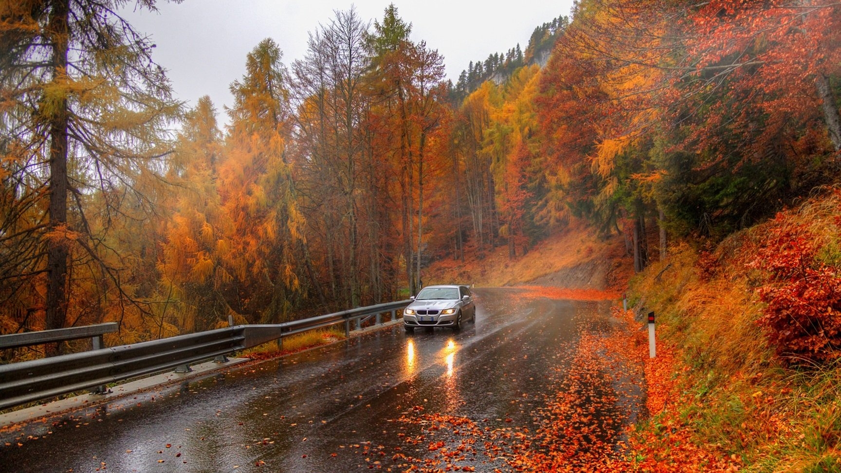 Plazma- Lonely 🚗🌲🍂🍁