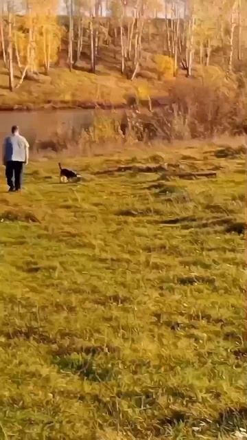 🤗 Золотая пора. 🍂 🍁 Поэма красок. 🥰