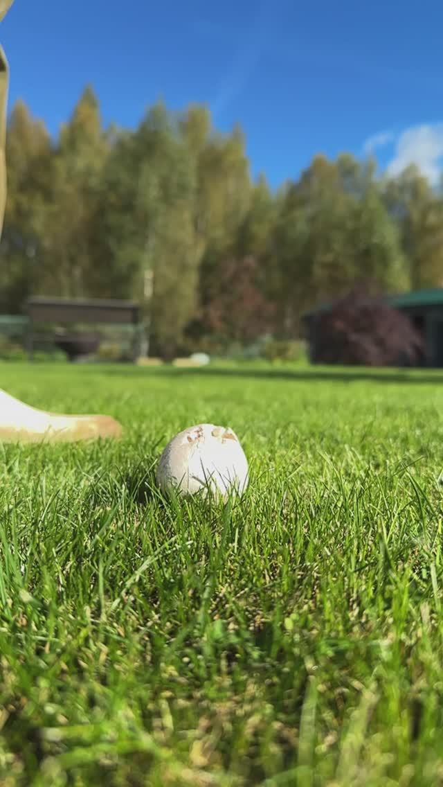 Грибной футбол ⚽️ #надаче