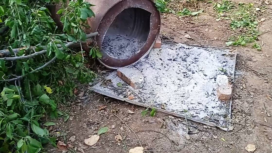 Древесная зола как удобрение и кому из растений не полезна