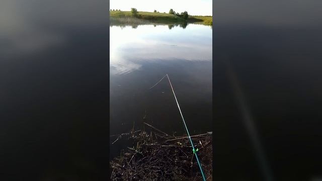 Летняя рыбалка с внуком