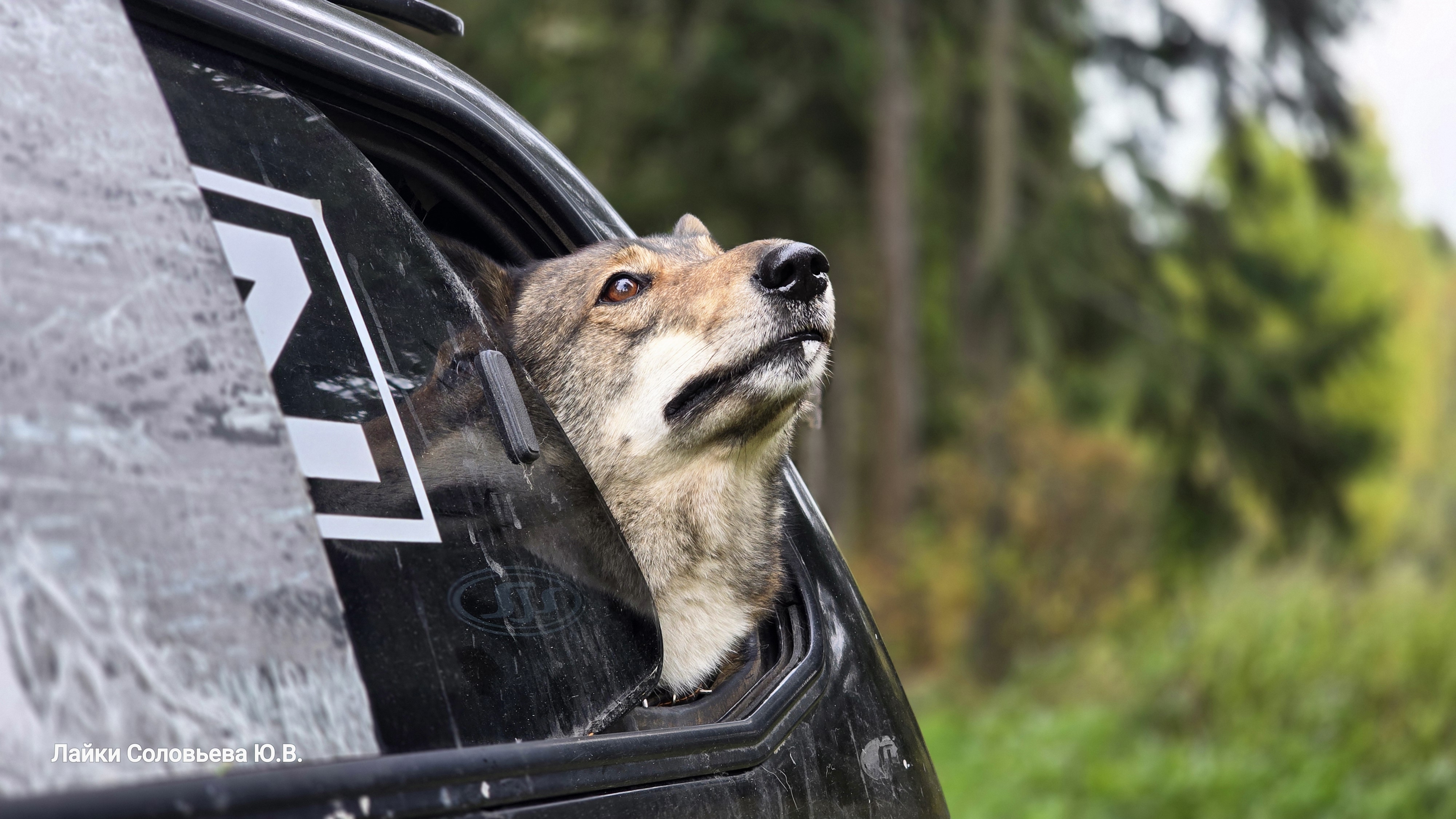 На другом берегу