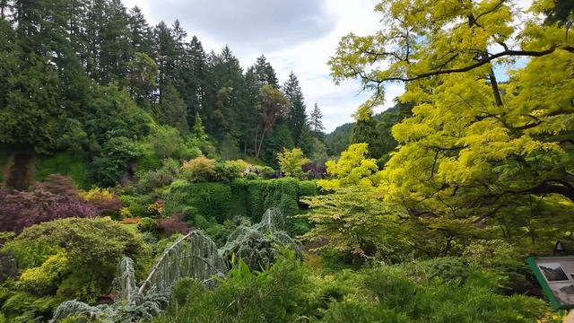 Канада. Прогулка в ботанических Садах Бутчартов в формате 4К