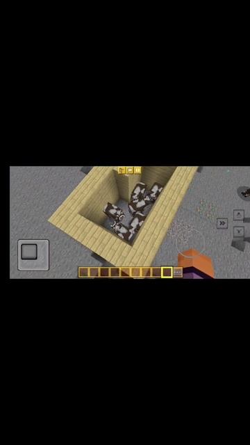 смешное видео про коров ж***.mp4