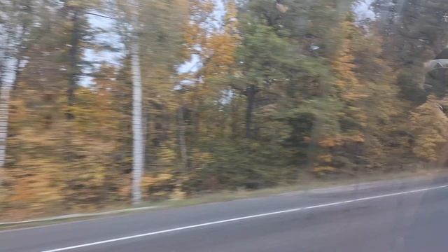 Осень. Сам себе и небо и Луна.  Дорога Бестолковая