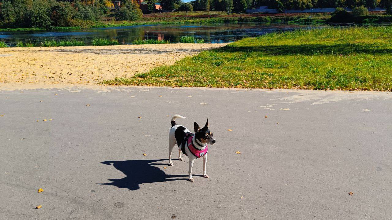 Лето в сентябре 2025