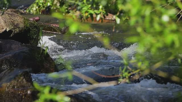 Севастопольская вода: под чьим присмотром родники?