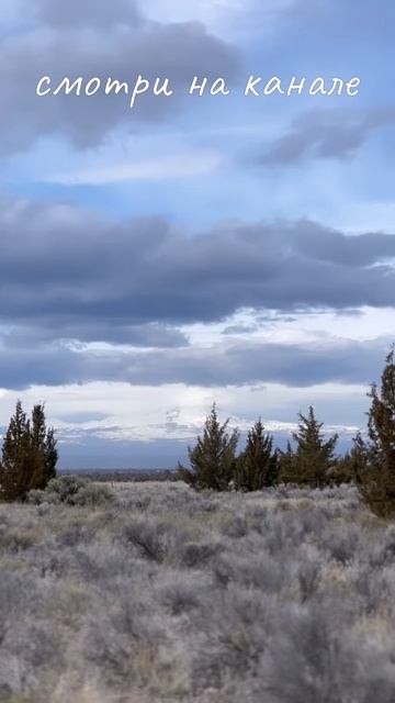 Тайцзи-цигун для здоровья