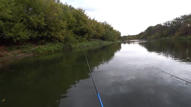 ЛОВЛЯ ЩУКИ на СПИННИНГ в ОКТЯБРЕ ЛОСЬ ПРИШЁЛ на РЫБАЛКУ