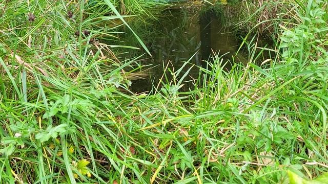 Краски осени. Colors of autumn