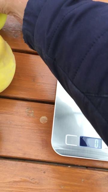 Собрал урожайчик. Определяю победителя. Айва. Ейск.