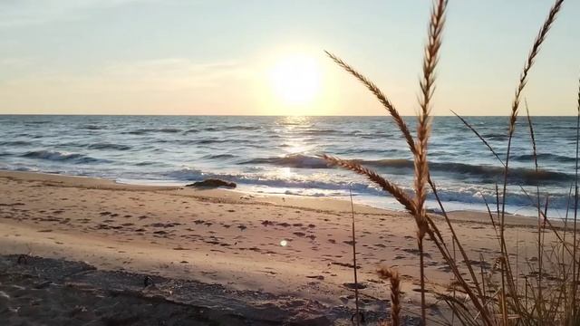 Гид спецназначения. Выпуск 4. Экскурсия по Мелекино, ДНР