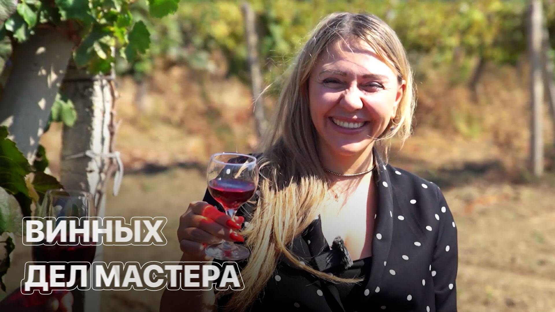 Сколько стоит построить винодельню? ЗЕМЛЕХОД