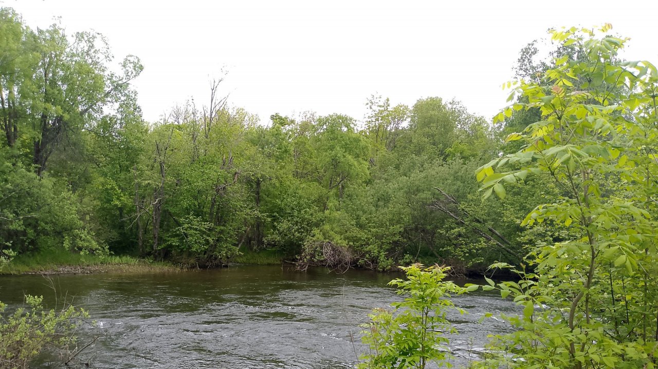 Рыбалка на горной речке в Хабароском крае небольшой отчет с рыбалки 27.09.25г. Хариус, ленок