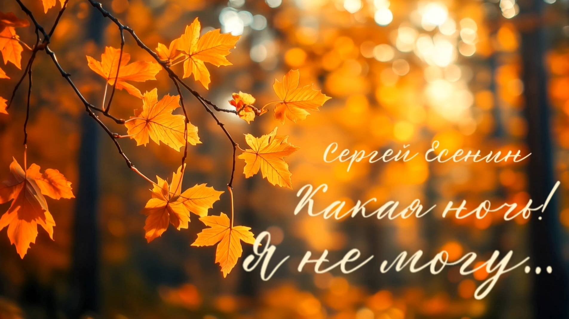 Громкие чтения «Загадка «Аристона» авт. Воликова В.В., Матусевич Н.Б., Серова  А.С.