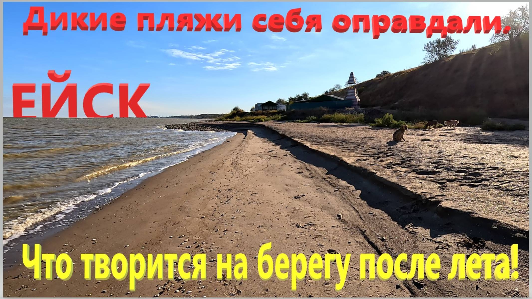 Что творится на берегах после лета. Дикие пляжи себя оправдали. Ейск. Таганрогский залив.