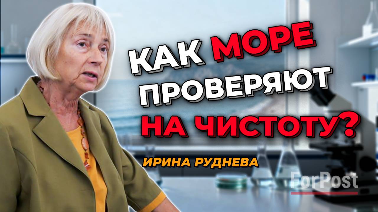 Как водоросли очищают Черное море? - рассказывает севастопольская ученая Ирина Руднева
