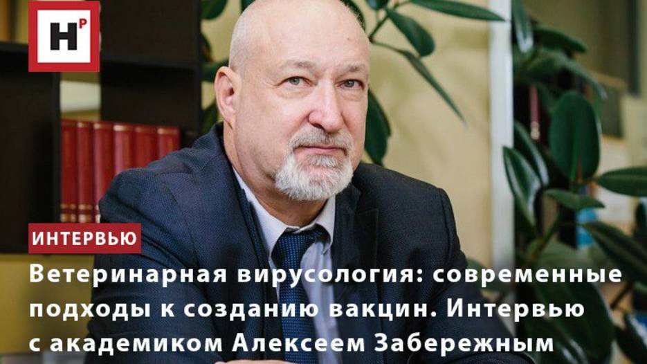 Ветеринарная вирусология: академик А.Д. Забережный о современных подходах к созданию вакцин
