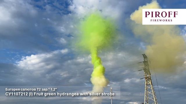 СУ1107212 (I) Fruit green hydrangea with silver strobe