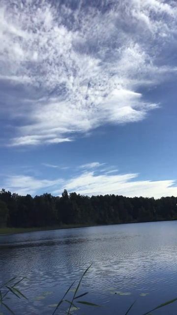 Ленинградская область. Хвойное. 25.06.2024. Река Вуокса ранним утром. Видеопейзаж