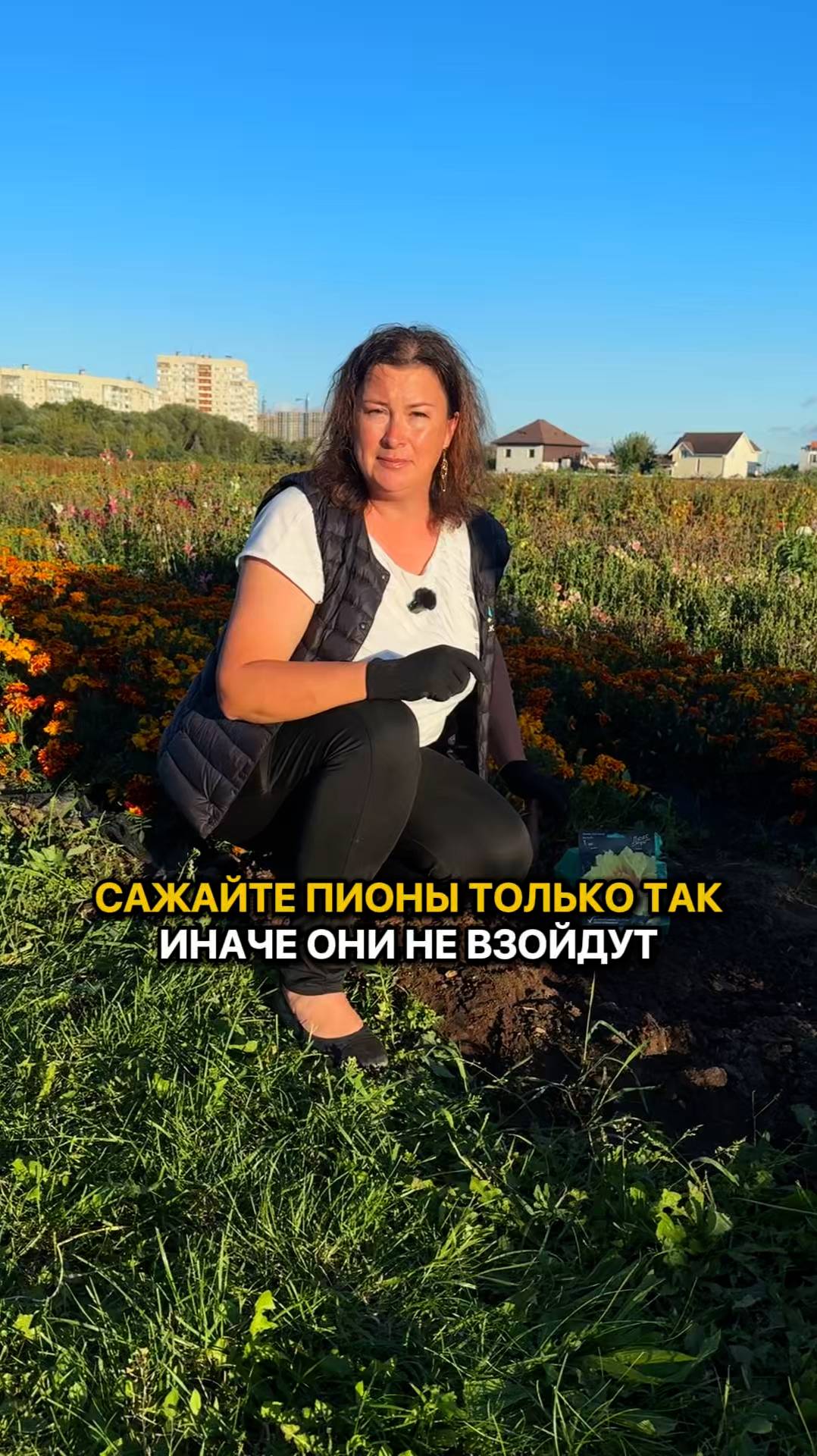 Сажайте пионы только так, ИНАЧЕ ОНИ НЕ ВЗОЙДУТ!