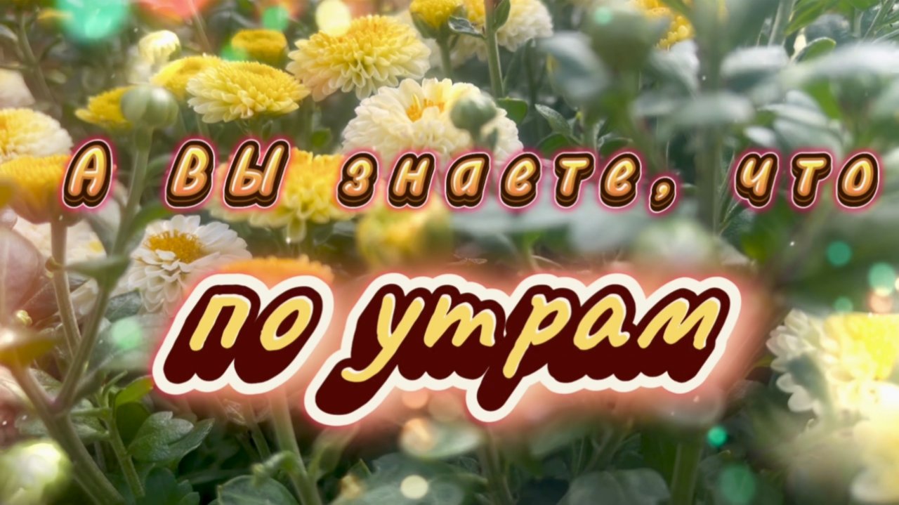 Доброе утро. А вы знаете, что по утрам горизонт улыбается нам? Песня с добрым утром